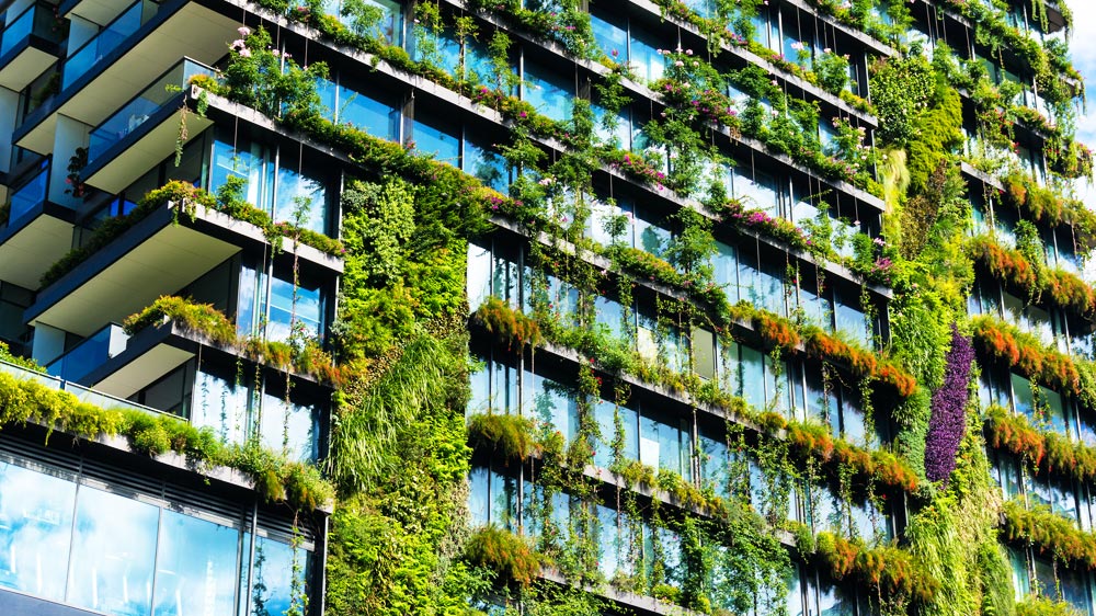 Energy & Environment
